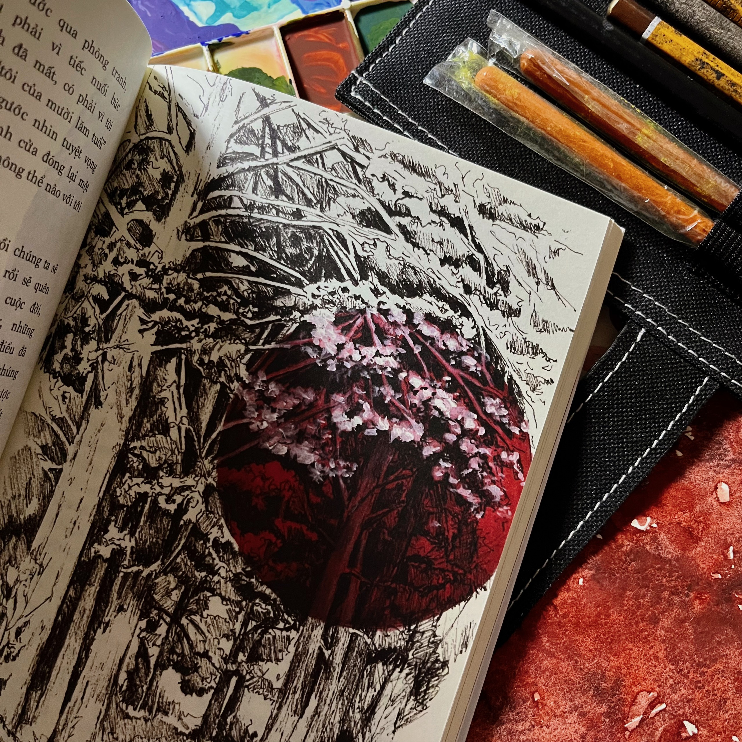 nơi chúng ta thuộc về