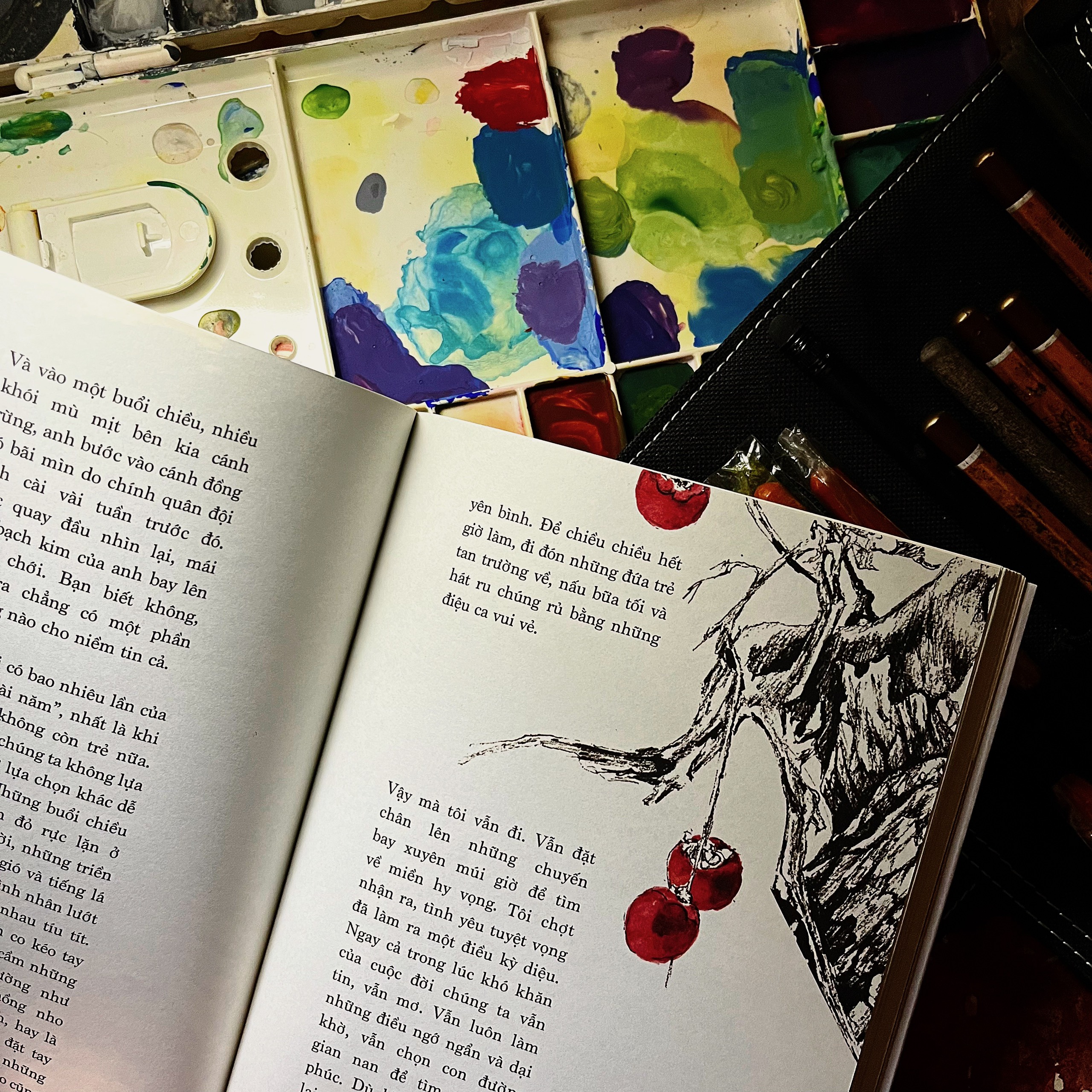 nơi chúng ta thuộc về