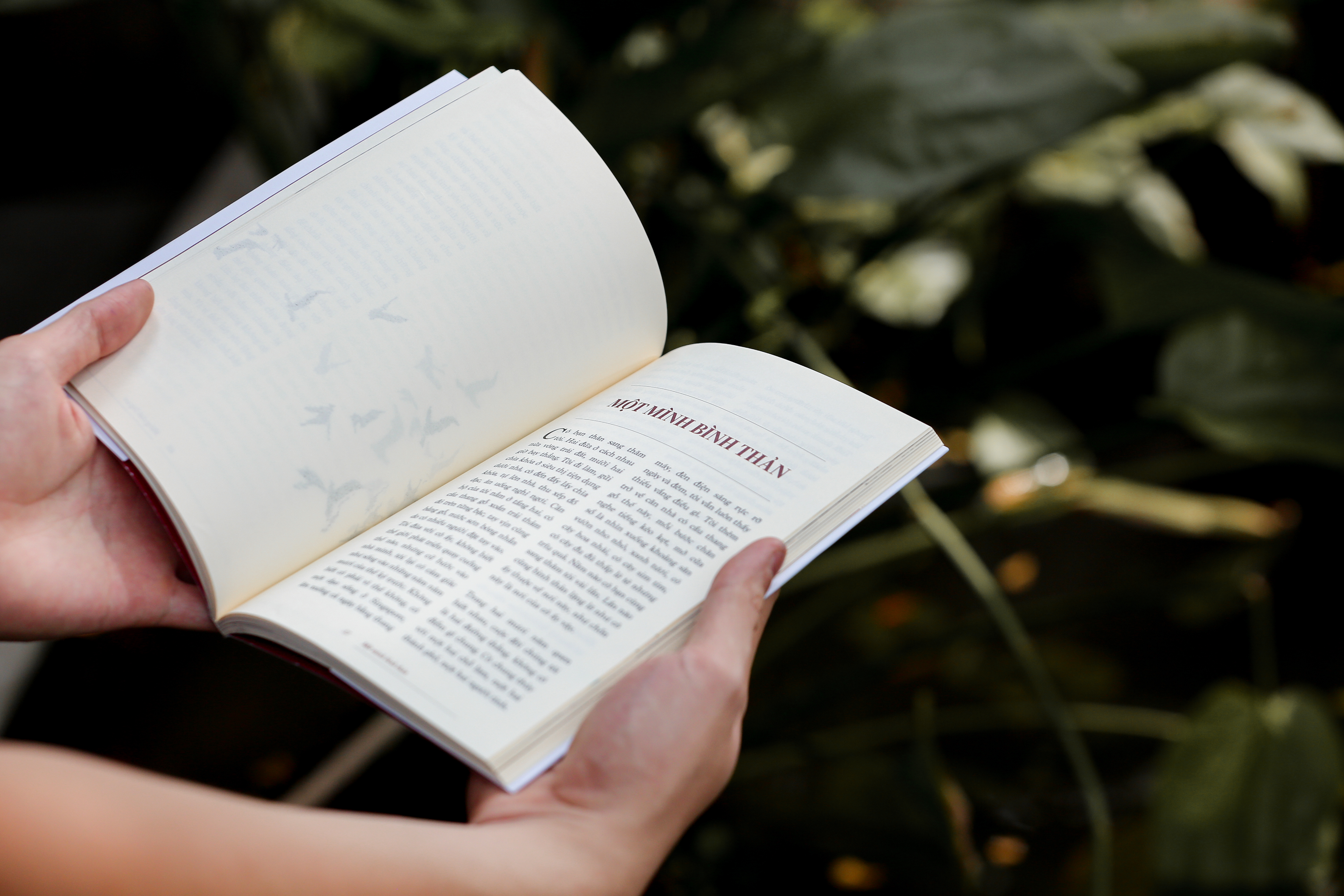 nơi chúng ta thuộc về