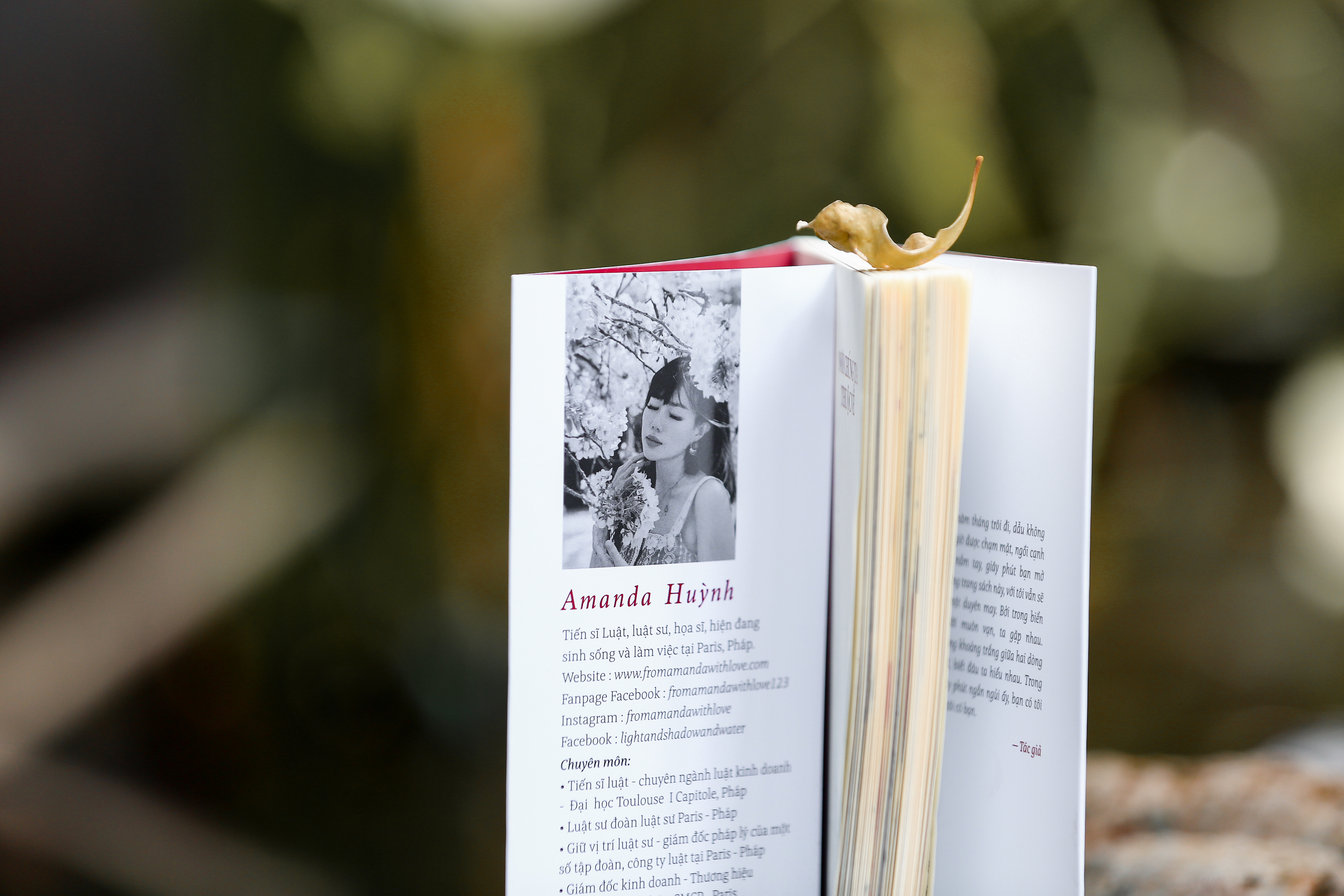 nơi chúng ta thuộc về