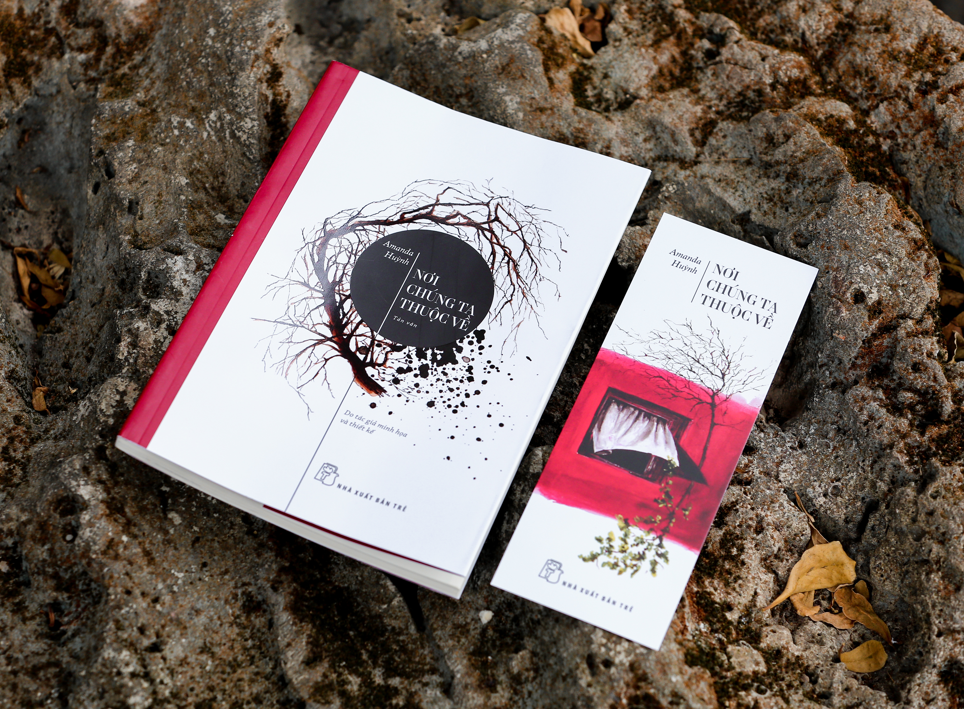 nơi chúng ta thuộc về