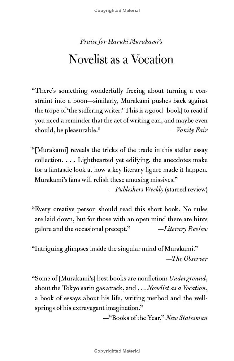 Novelist As A Vocation