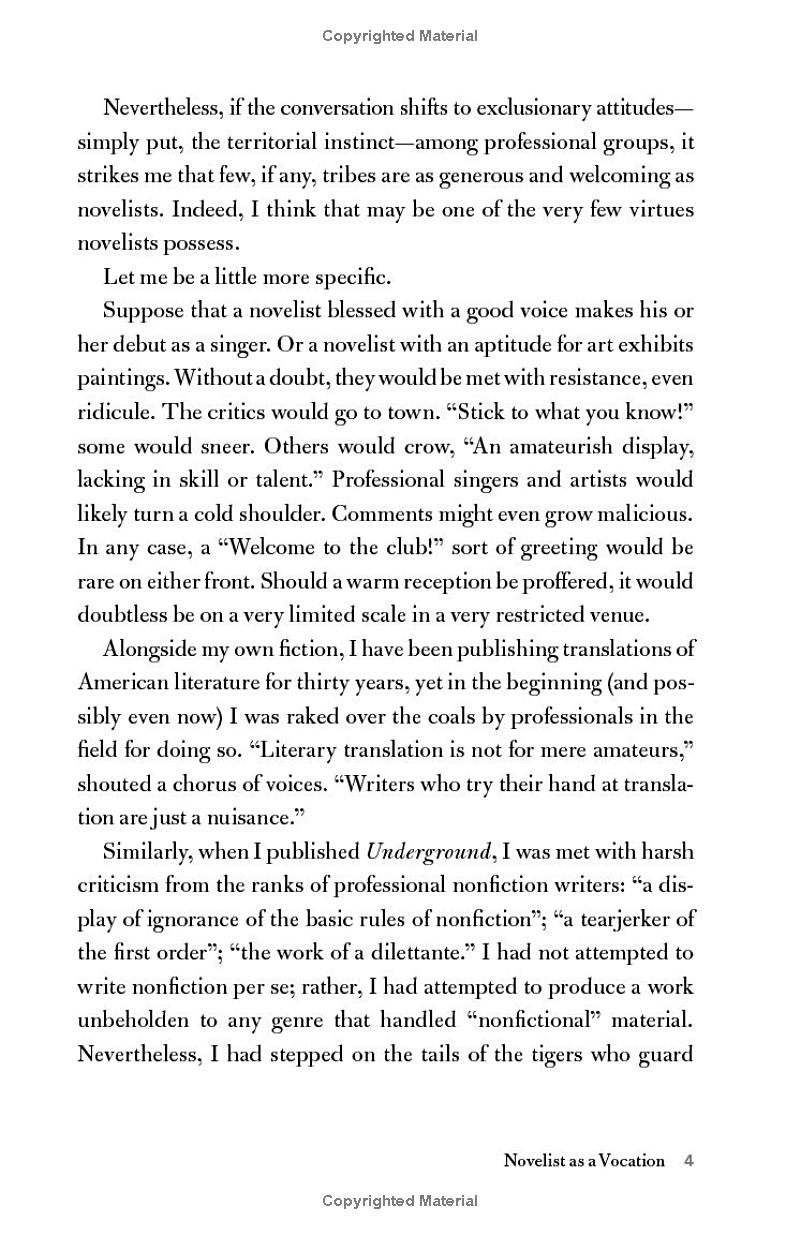 Novelist As A Vocation