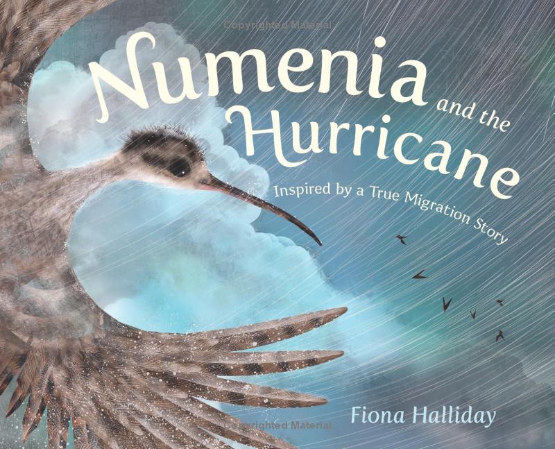 numeria and the hurricane - inspired by a true migration story