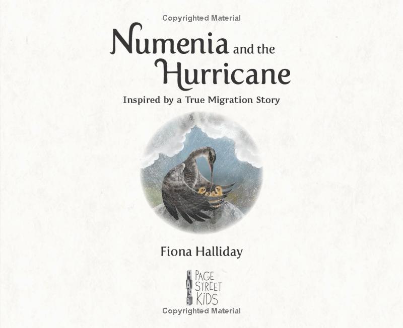 numeria and the hurricane - inspired by a true migration story