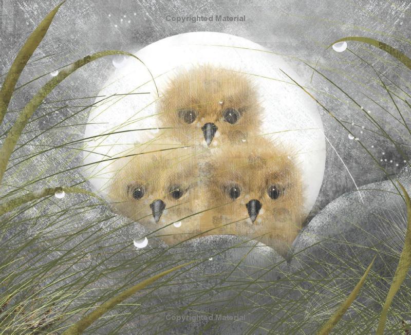 numeria and the hurricane - inspired by a true migration story