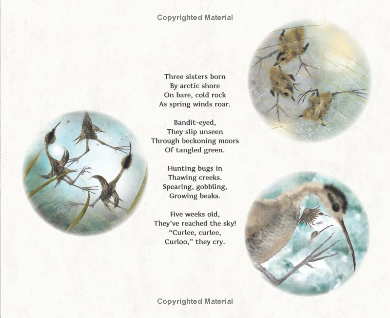 numeria and the hurricane - inspired by a true migration story