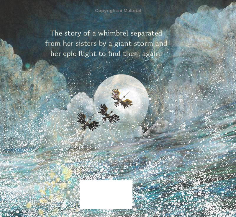 numeria and the hurricane - inspired by a true migration story