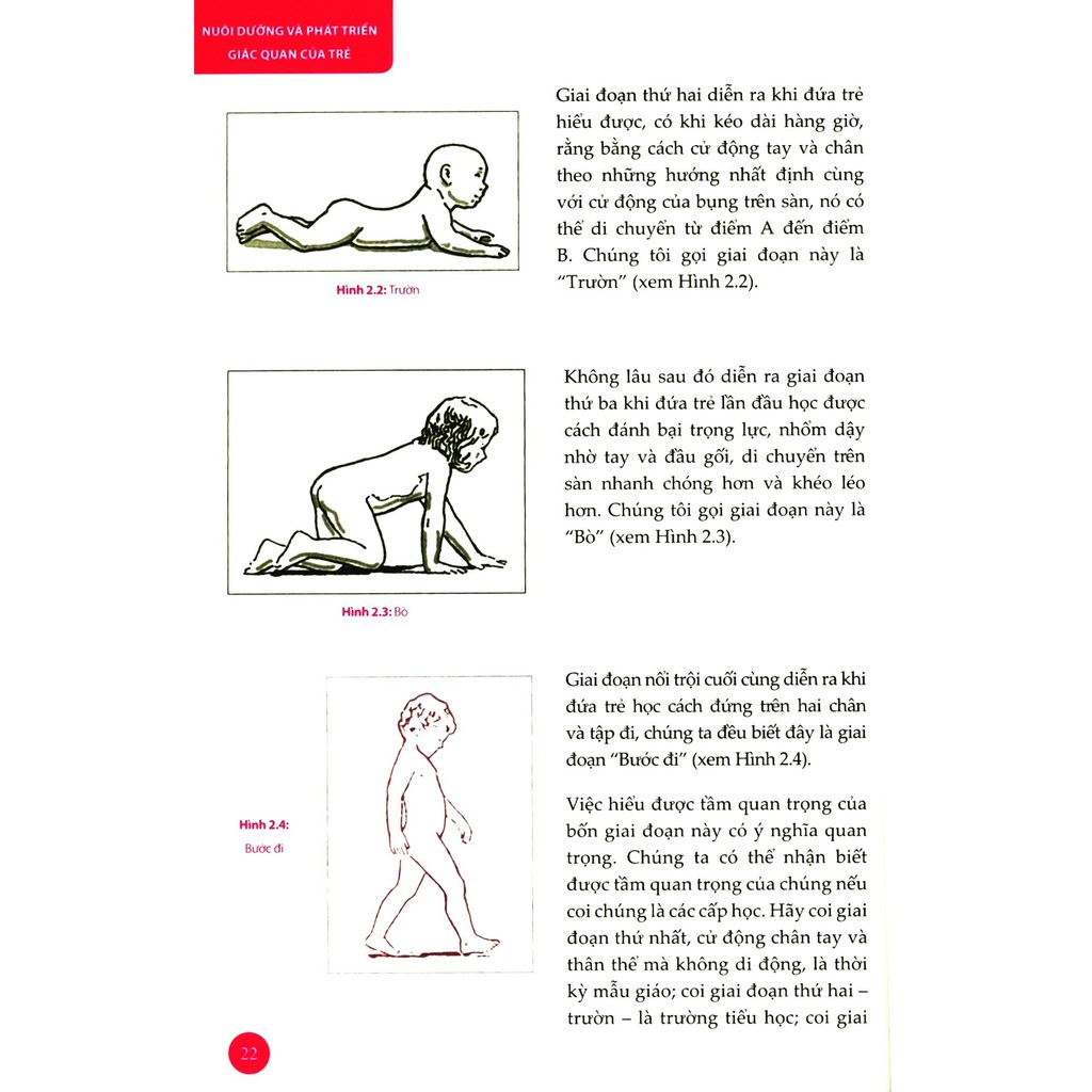 nuôi dưỡng và phát triển giác quan của trẻ - một chỉ dẫn cần thiết để đánh giá và phát triển bé yêu trong những năm đầu đời (tái bản 2020)