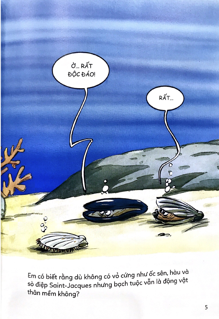 ô kìa! em có biết? bạch tuộc