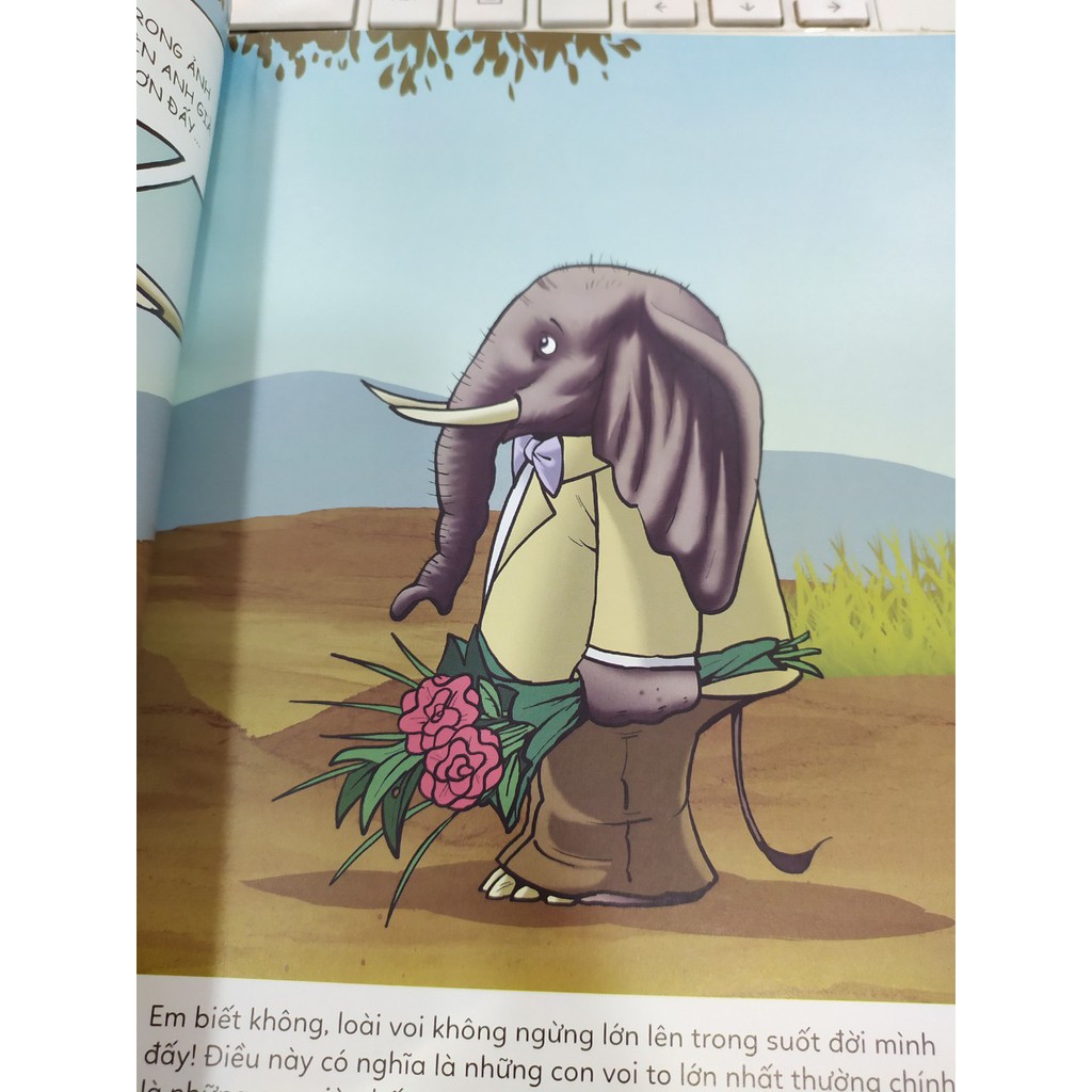 ô kìa! em có biết? voi