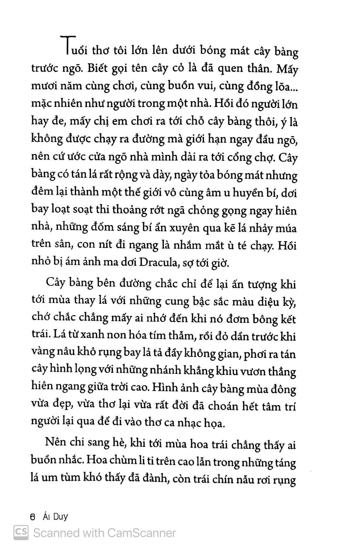 ở nha trang sóng tựa như mây