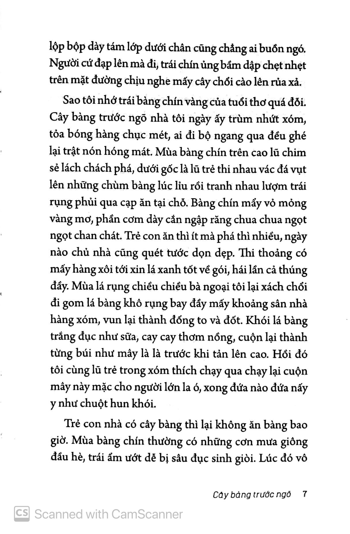 ở nha trang sóng tựa như mây