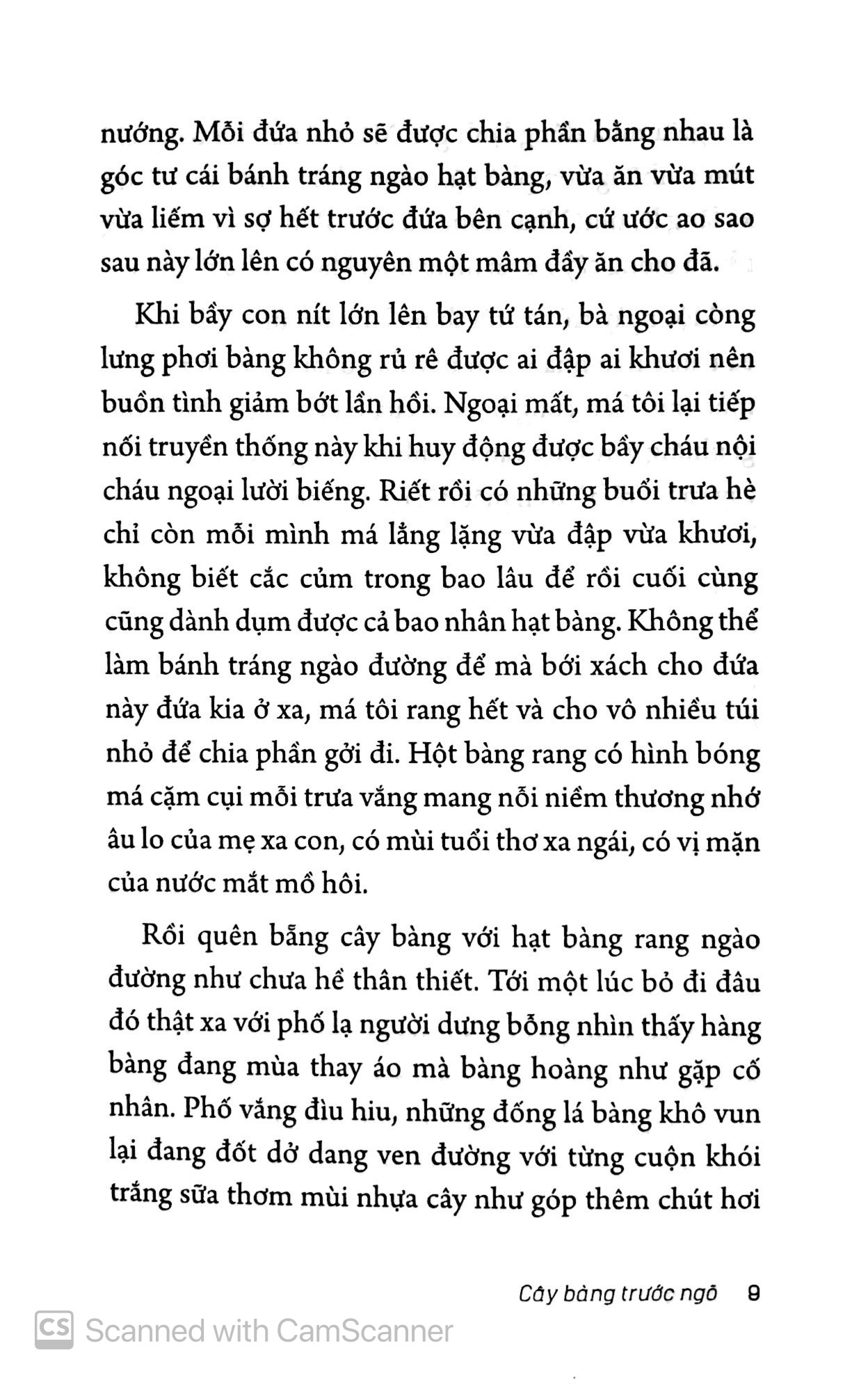 ở nha trang sóng tựa như mây