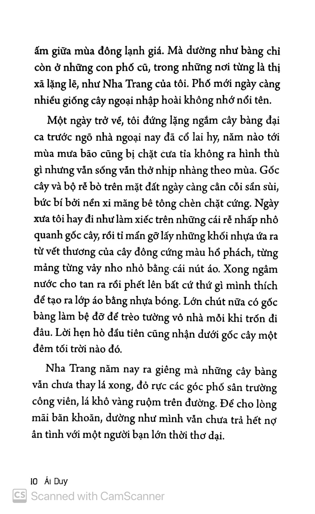 ở nha trang sóng tựa như mây