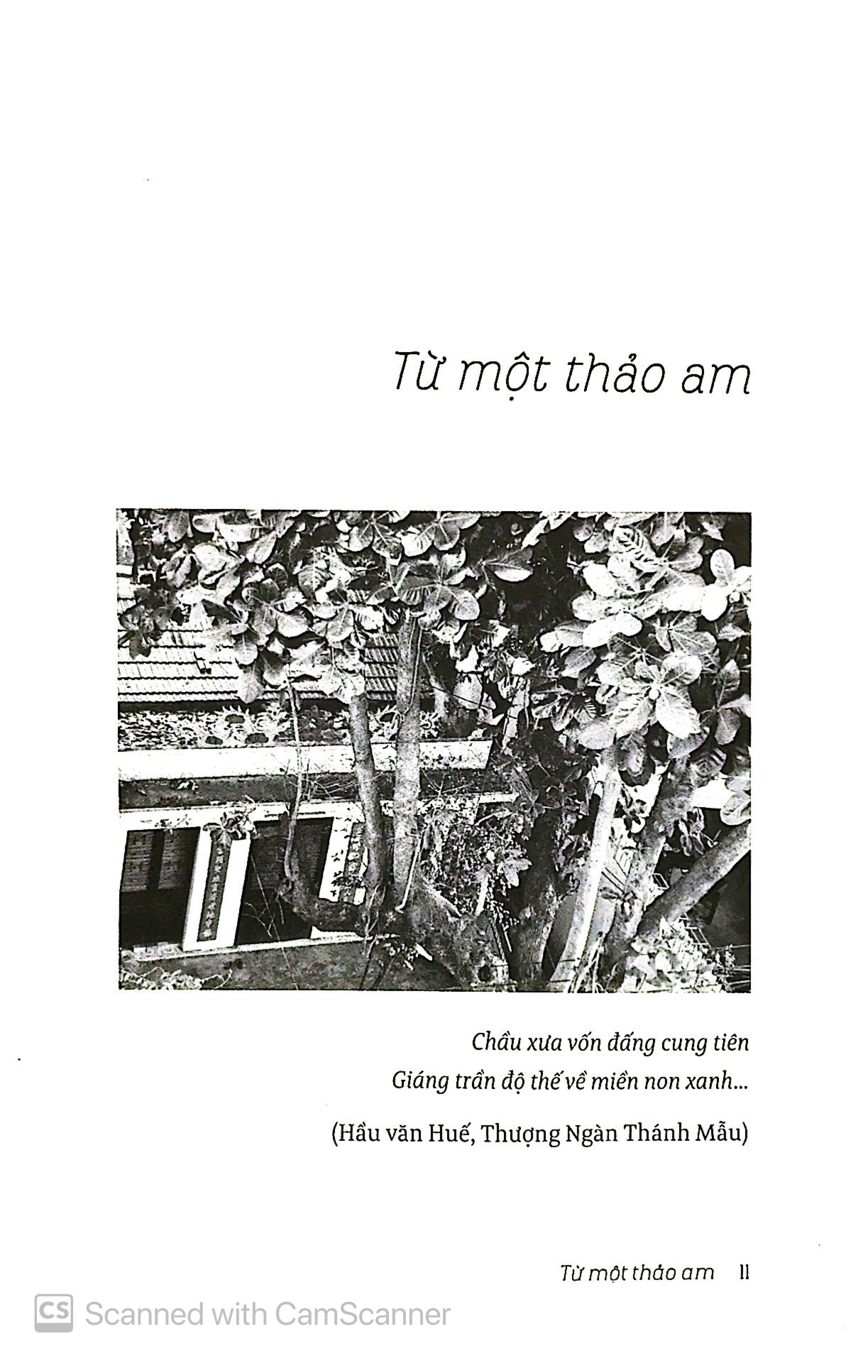 ở nha trang sóng tựa như mây