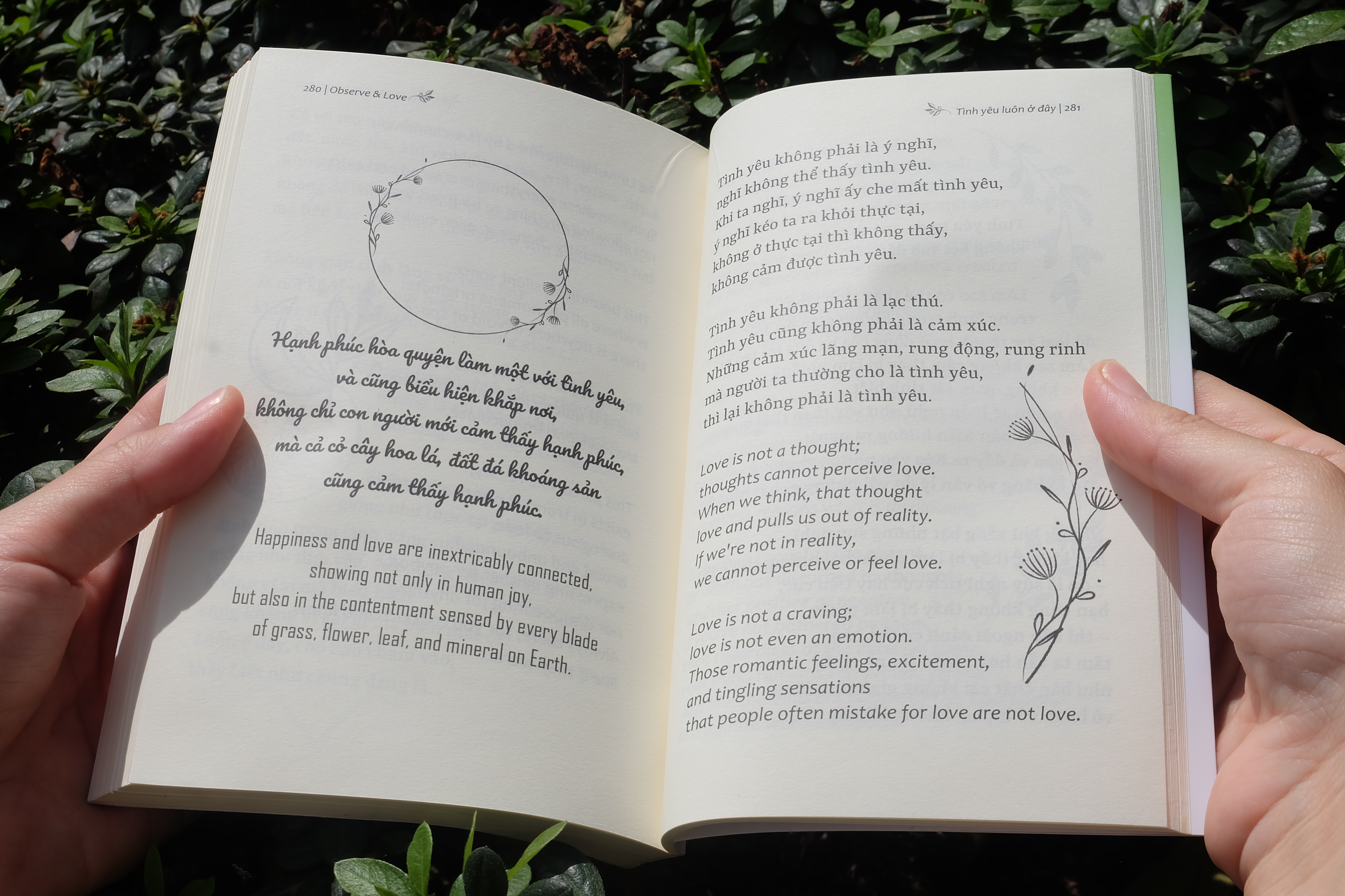 Observe And Love - Tinh Yeu Luon O Day - Phien Ban Song Ngu