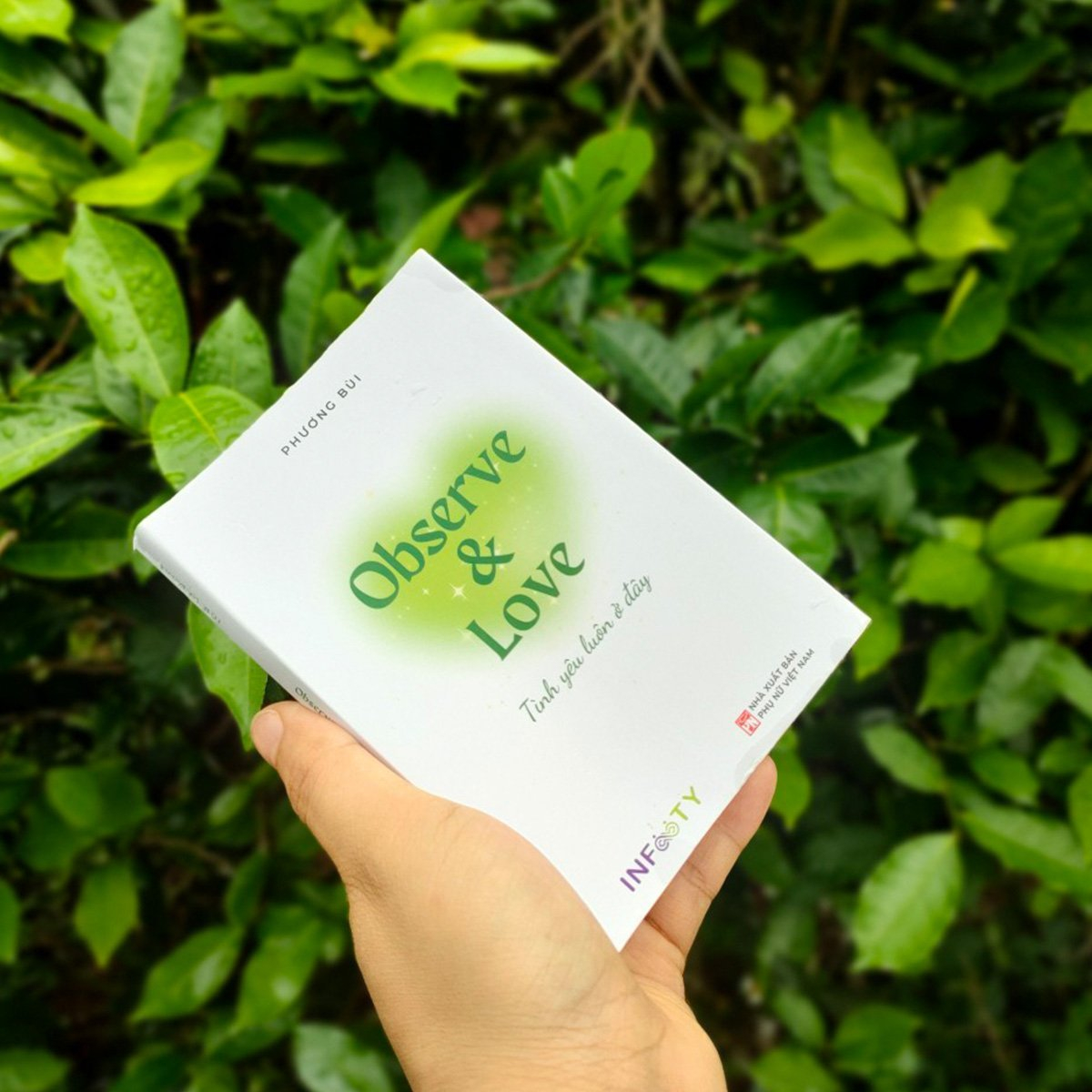 observe & love tình yêu luôn ở đây