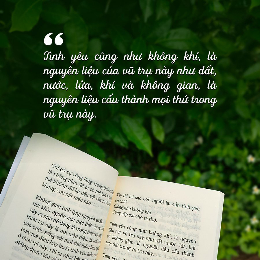 observe & love tình yêu luôn ở đây