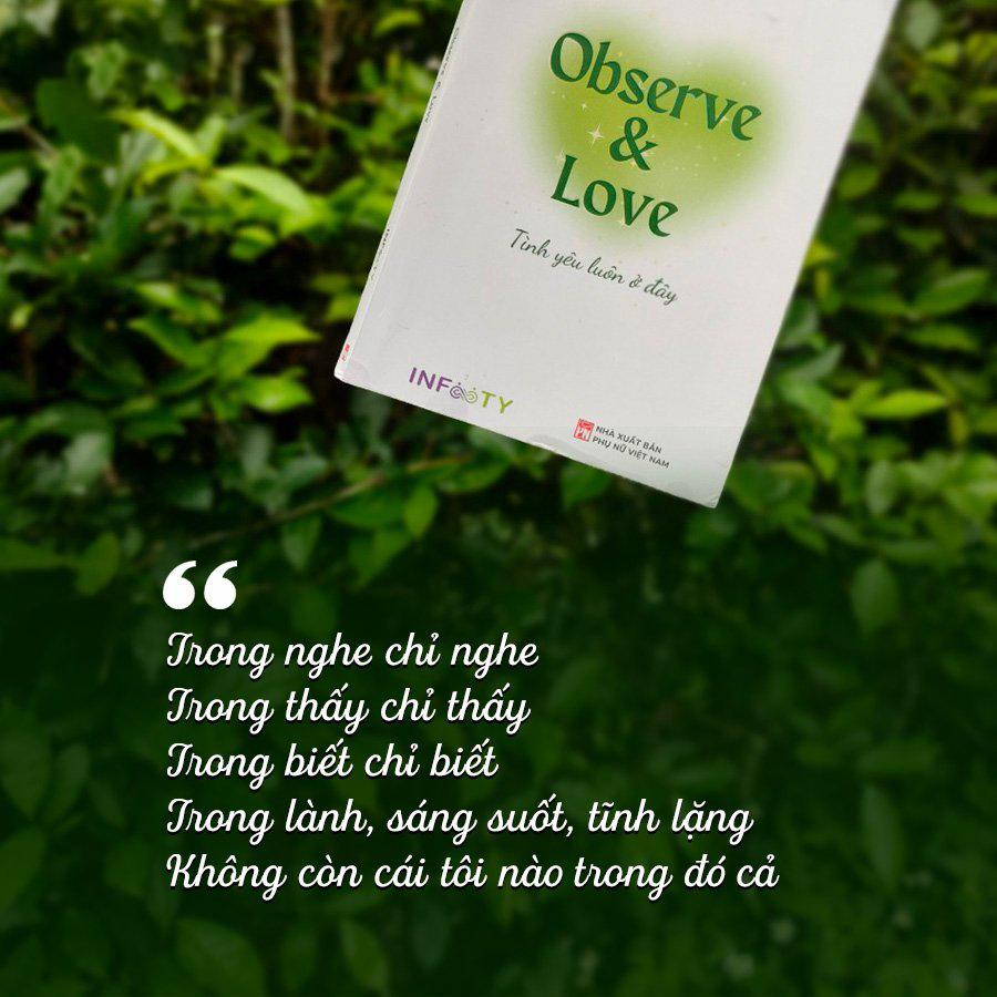 observe & love tình yêu luôn ở đây