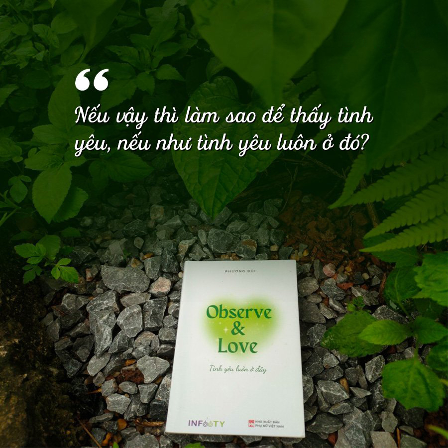 observe & love tình yêu luôn ở đây