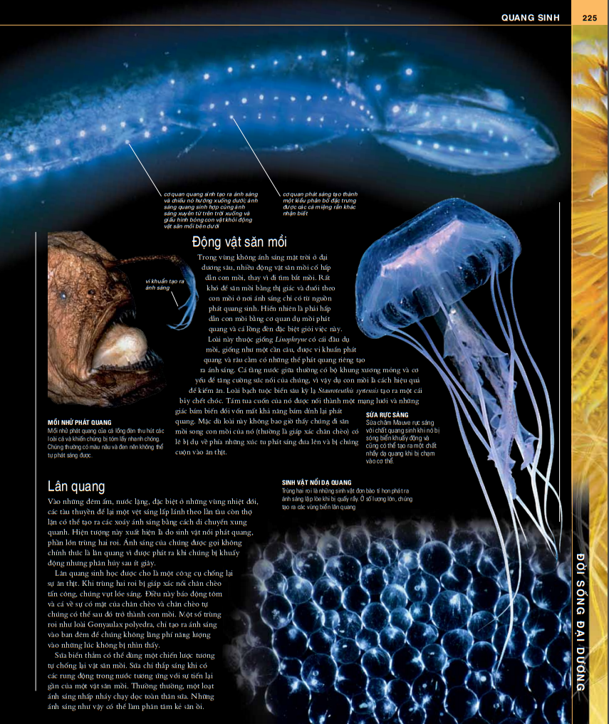 ocean - thuyết minh trực quan nhất về đại dương