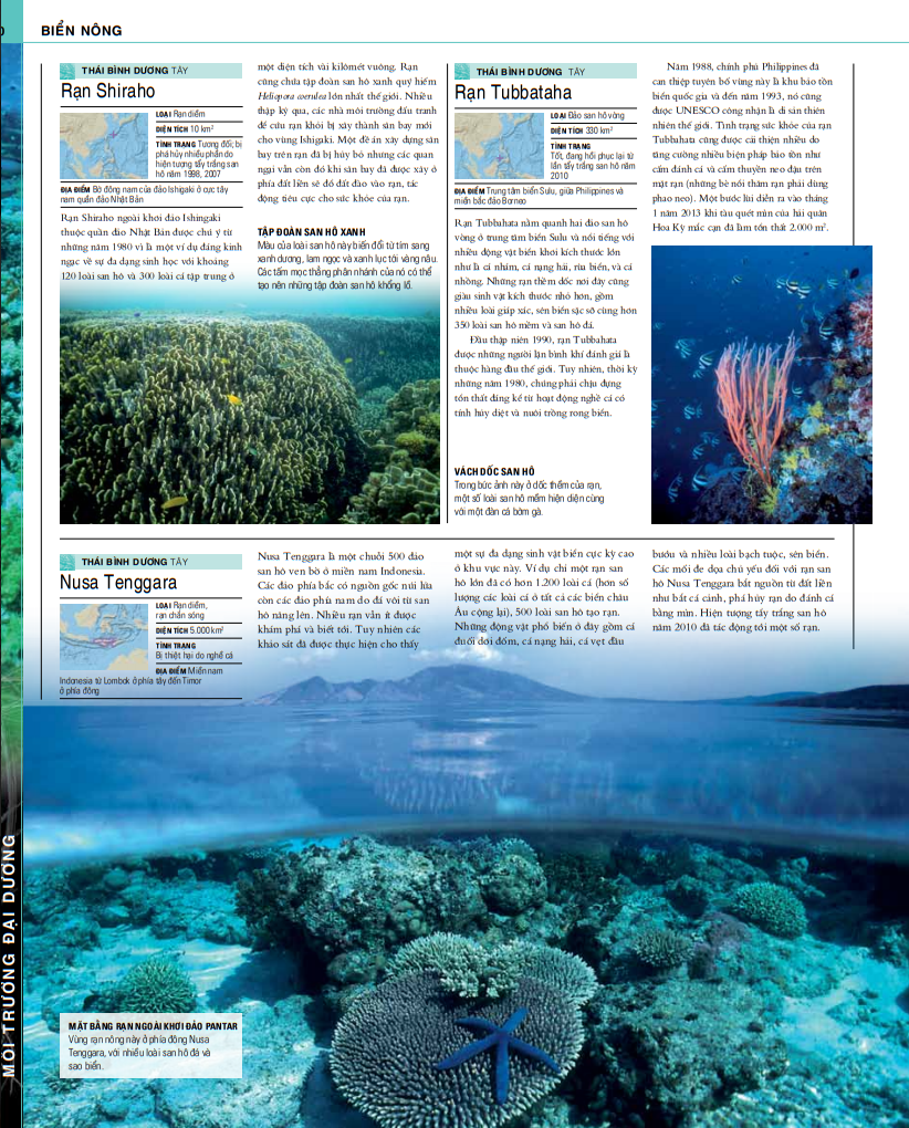 ocean - thuyết minh trực quan nhất về đại dương