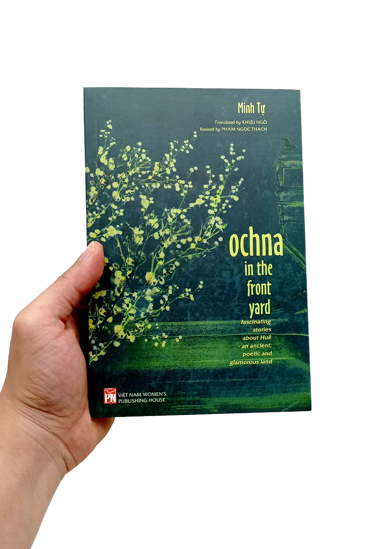 ochna in the front yard - fascinating stories about huế - an ancient, poetic and glamorous land