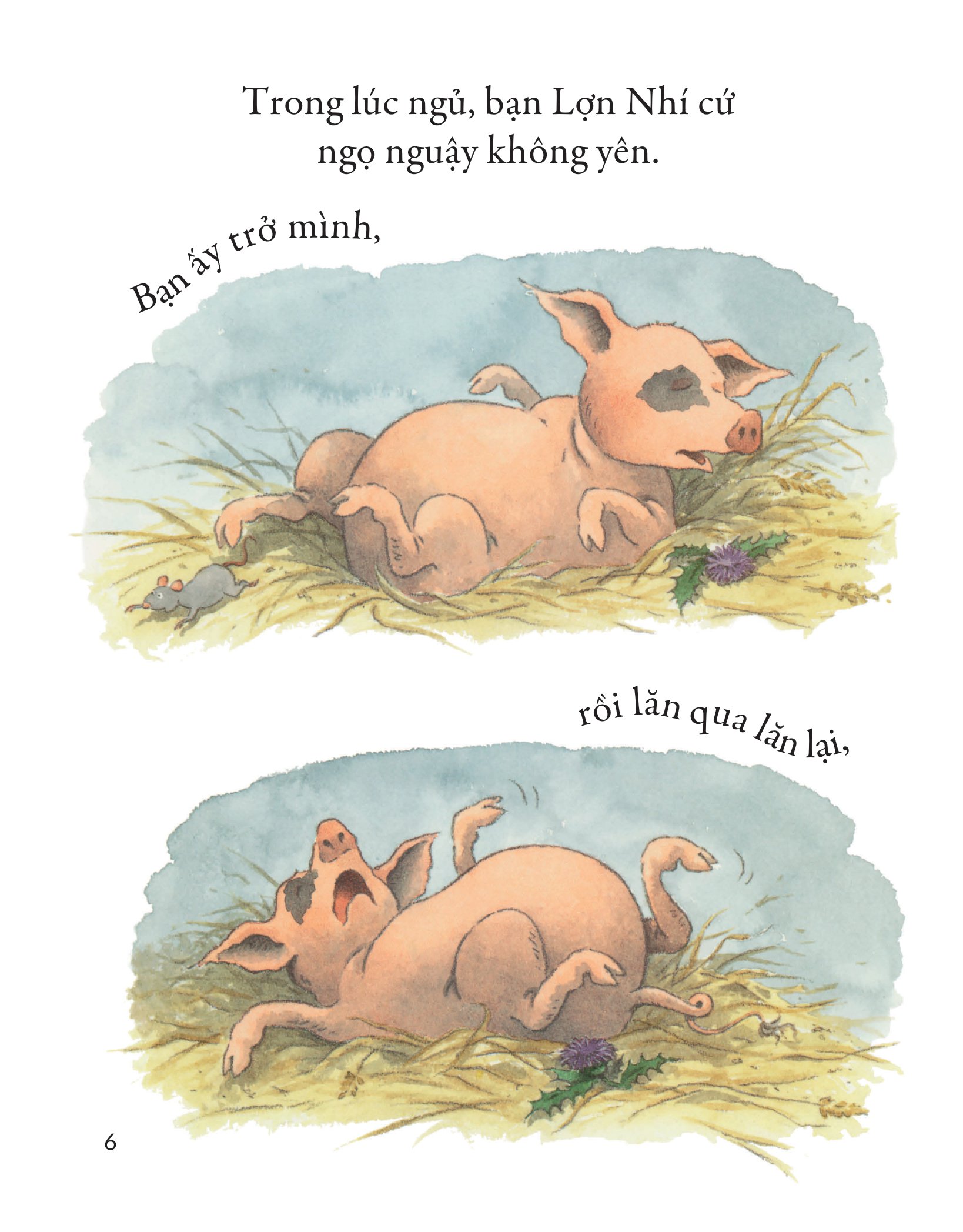 ối ối ối! bé lợn gặp rắc rối