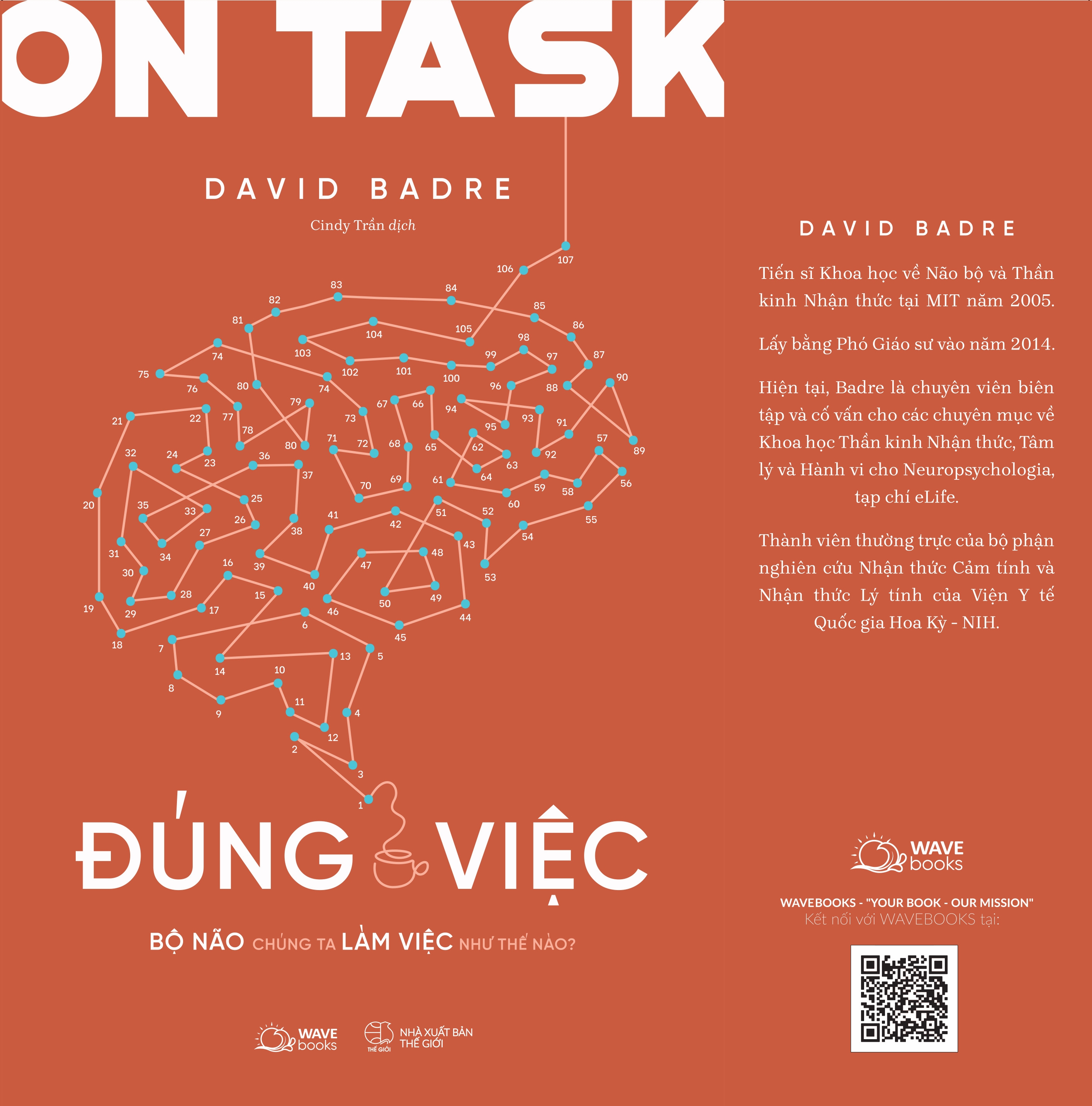 on task - đúng việc - bộ não chúng ta làm việc như thế nào?