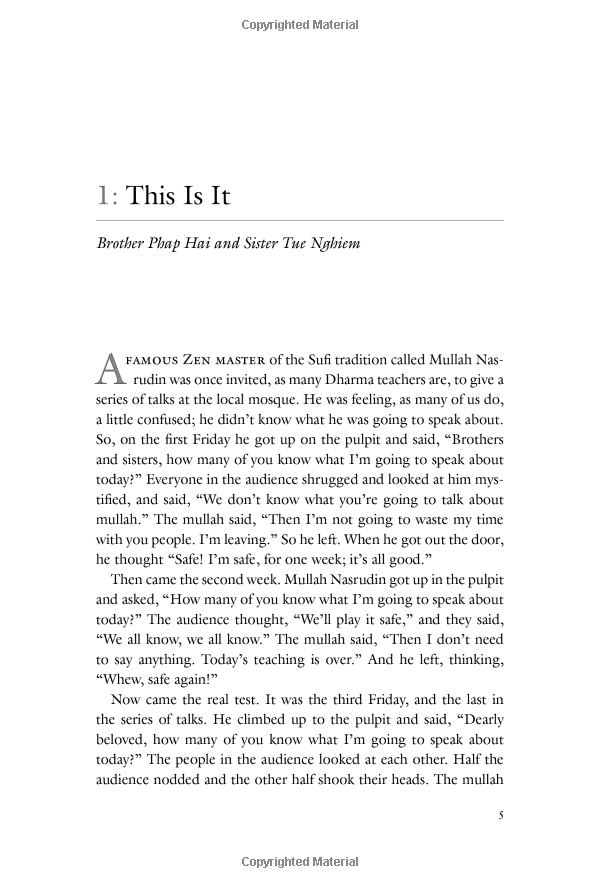 one buddha is not enough: a story of collective awakening