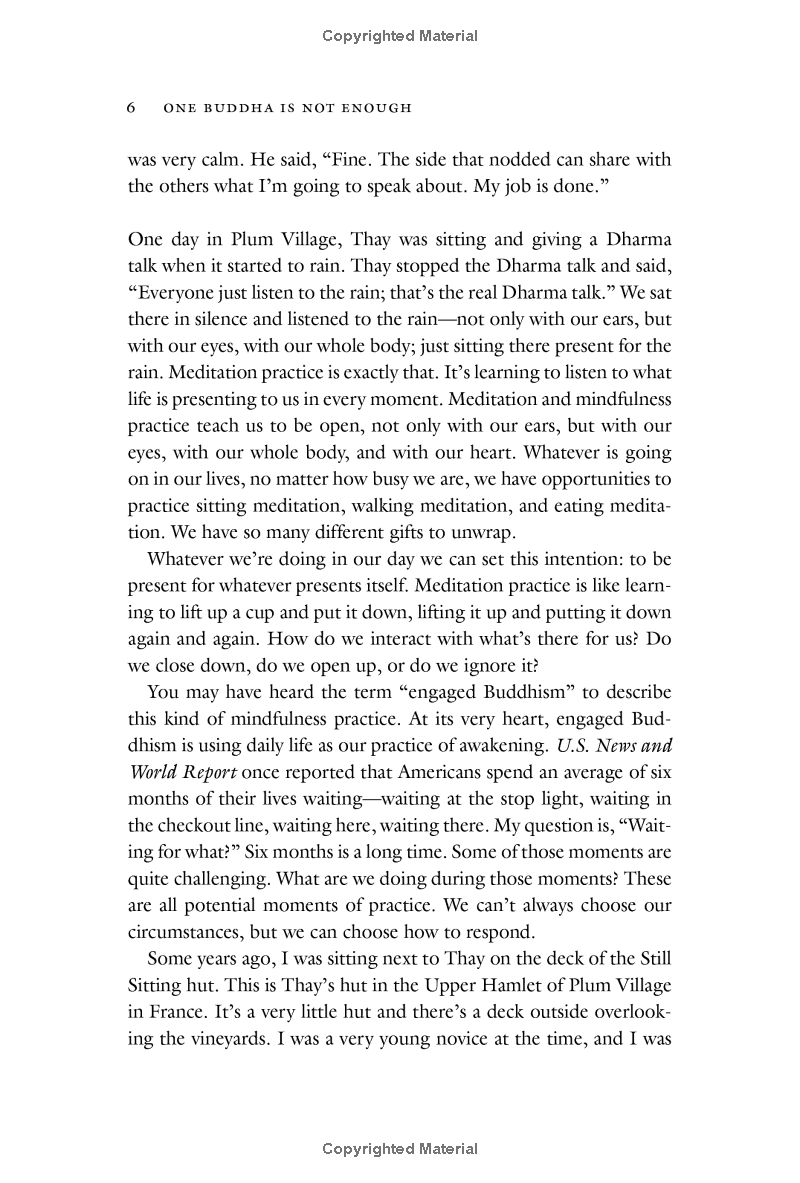 one buddha is not enough: a story of collective awakening