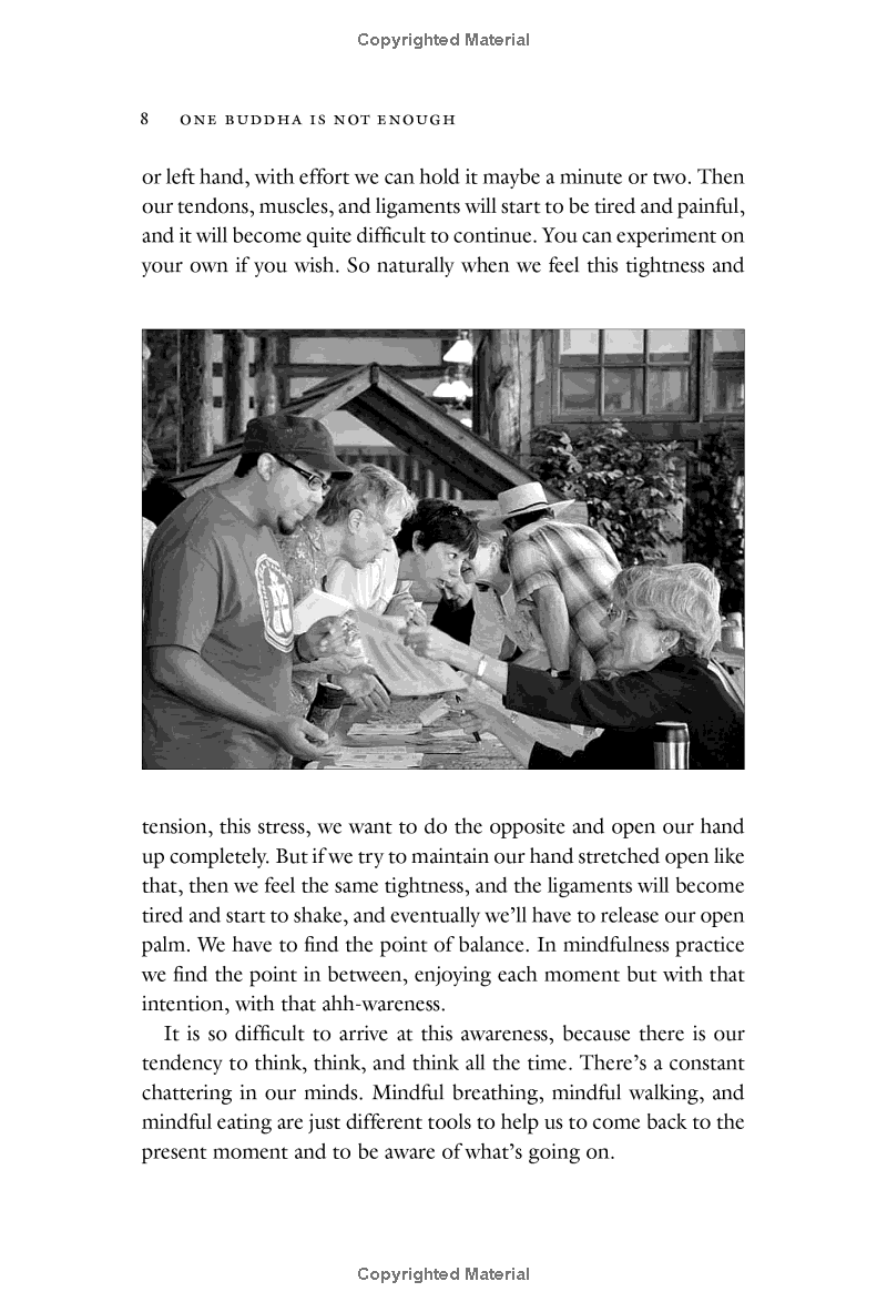 one buddha is not enough: a story of collective awakening