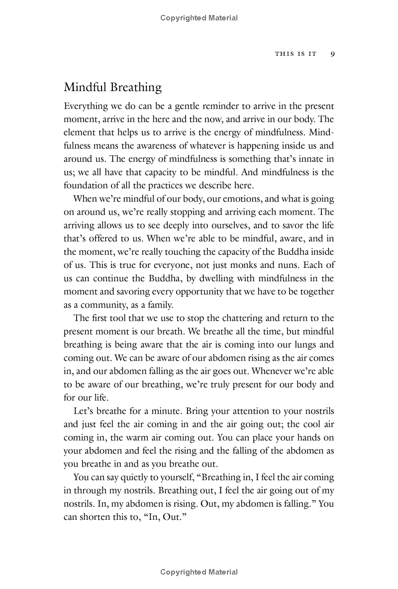 one buddha is not enough: a story of collective awakening