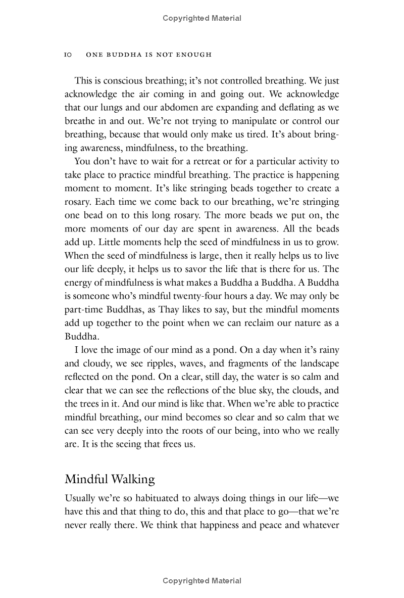 one buddha is not enough: a story of collective awakening