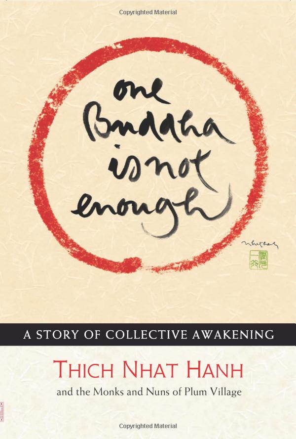 one buddha is not enough: a story of collective awakening