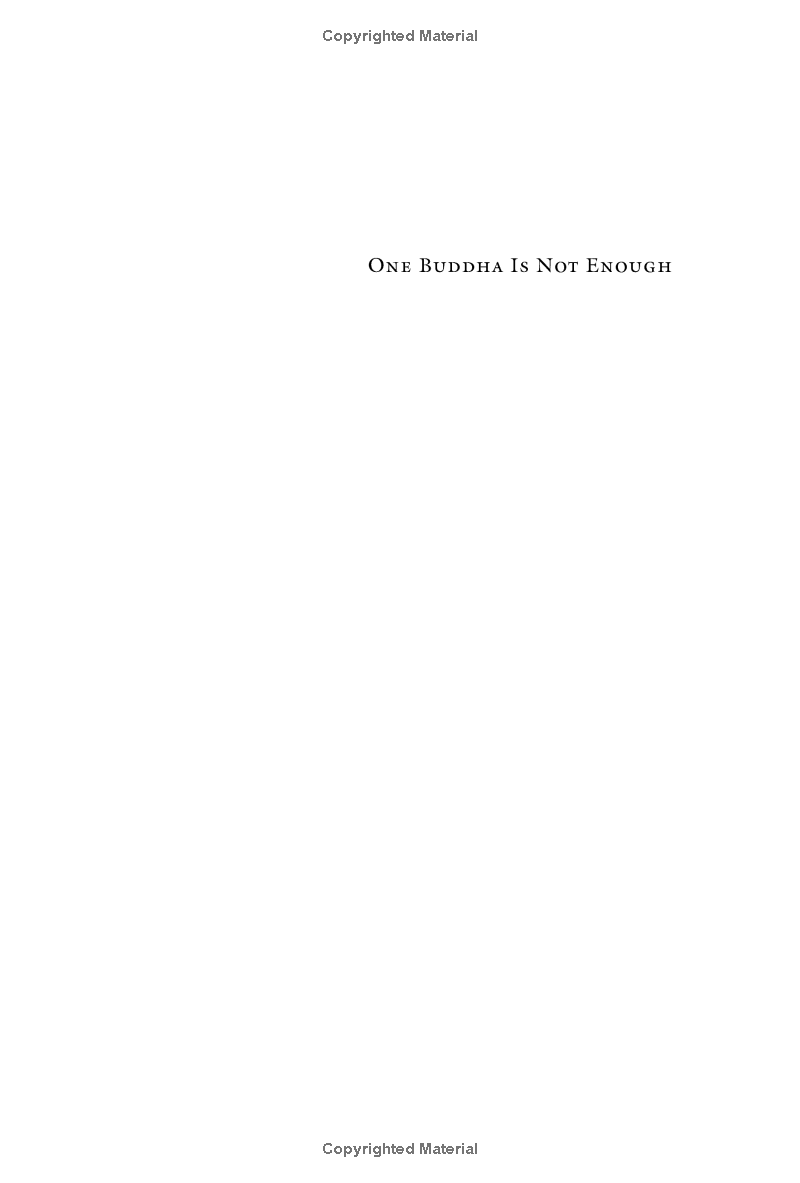 one buddha is not enough: a story of collective awakening