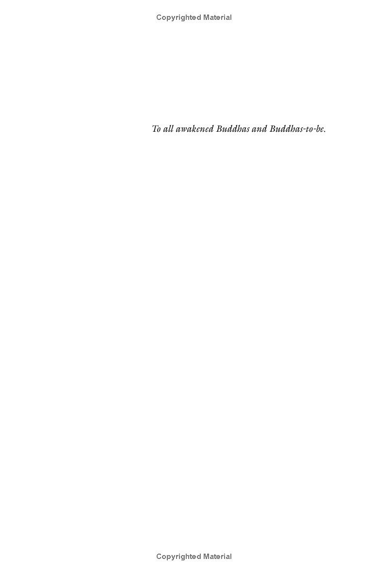 one buddha is not enough: a story of collective awakening