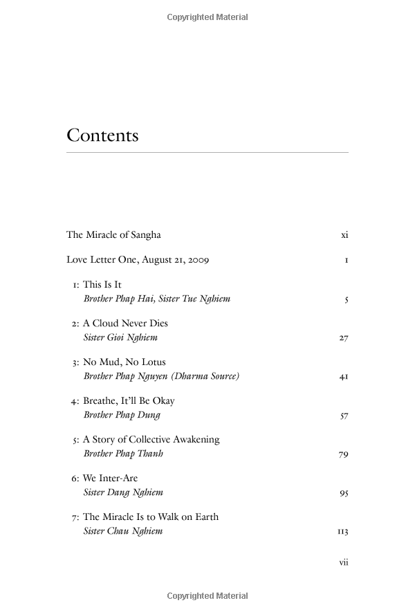 one buddha is not enough: a story of collective awakening