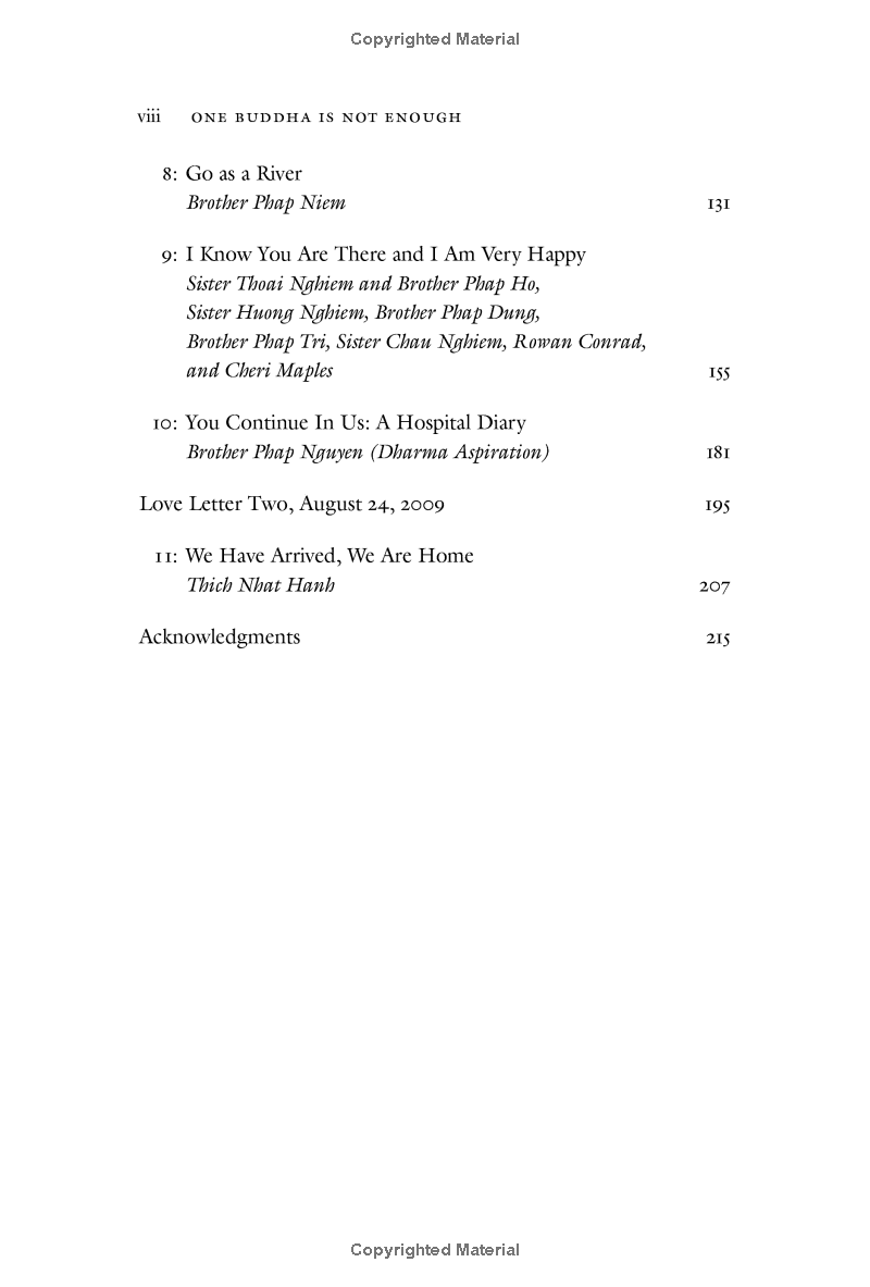 one buddha is not enough: a story of collective awakening