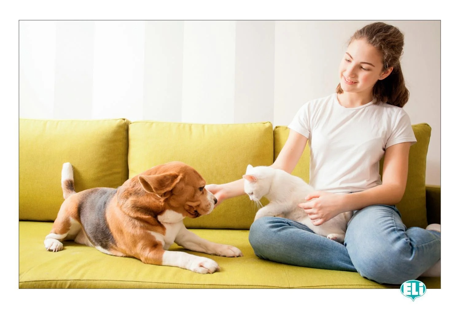 one photo, a thousand words - speaking english with pictures