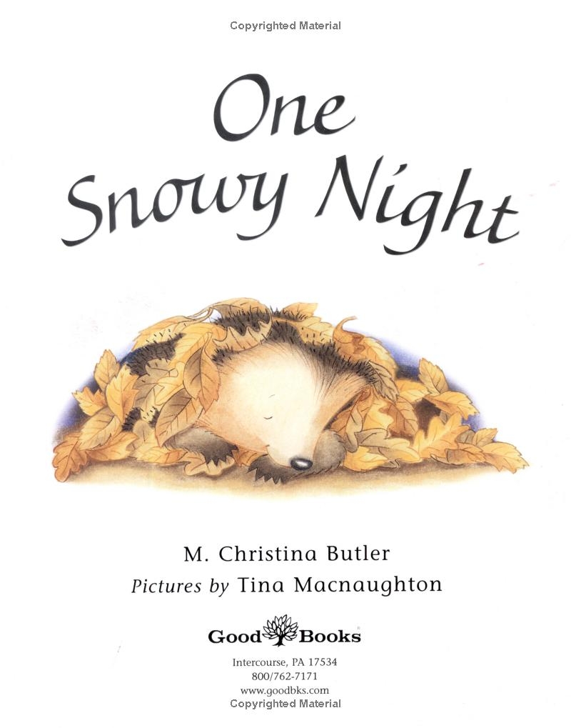 one snowy night