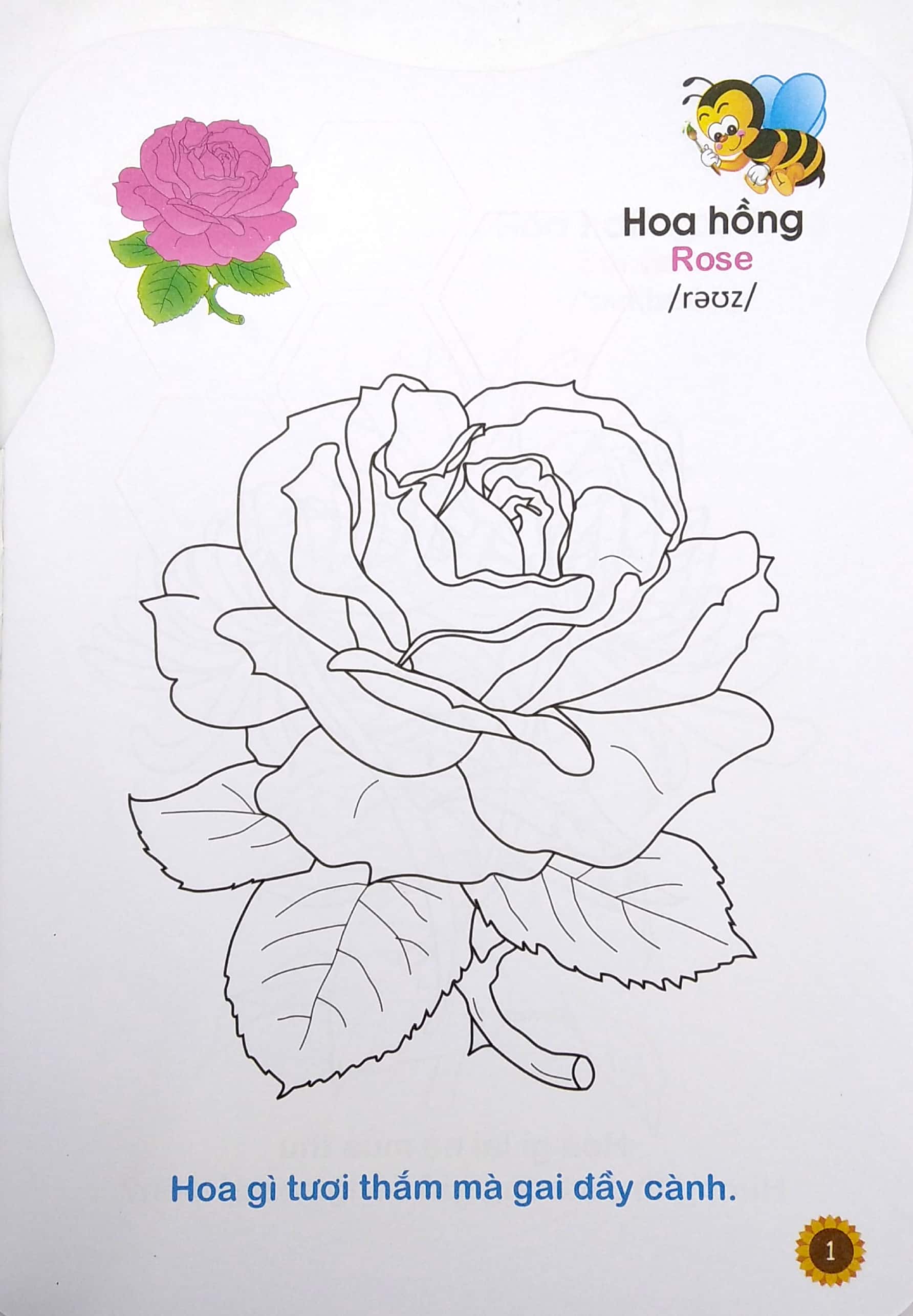 ong con chăm chỉ - tô màu các loài hoa, quả