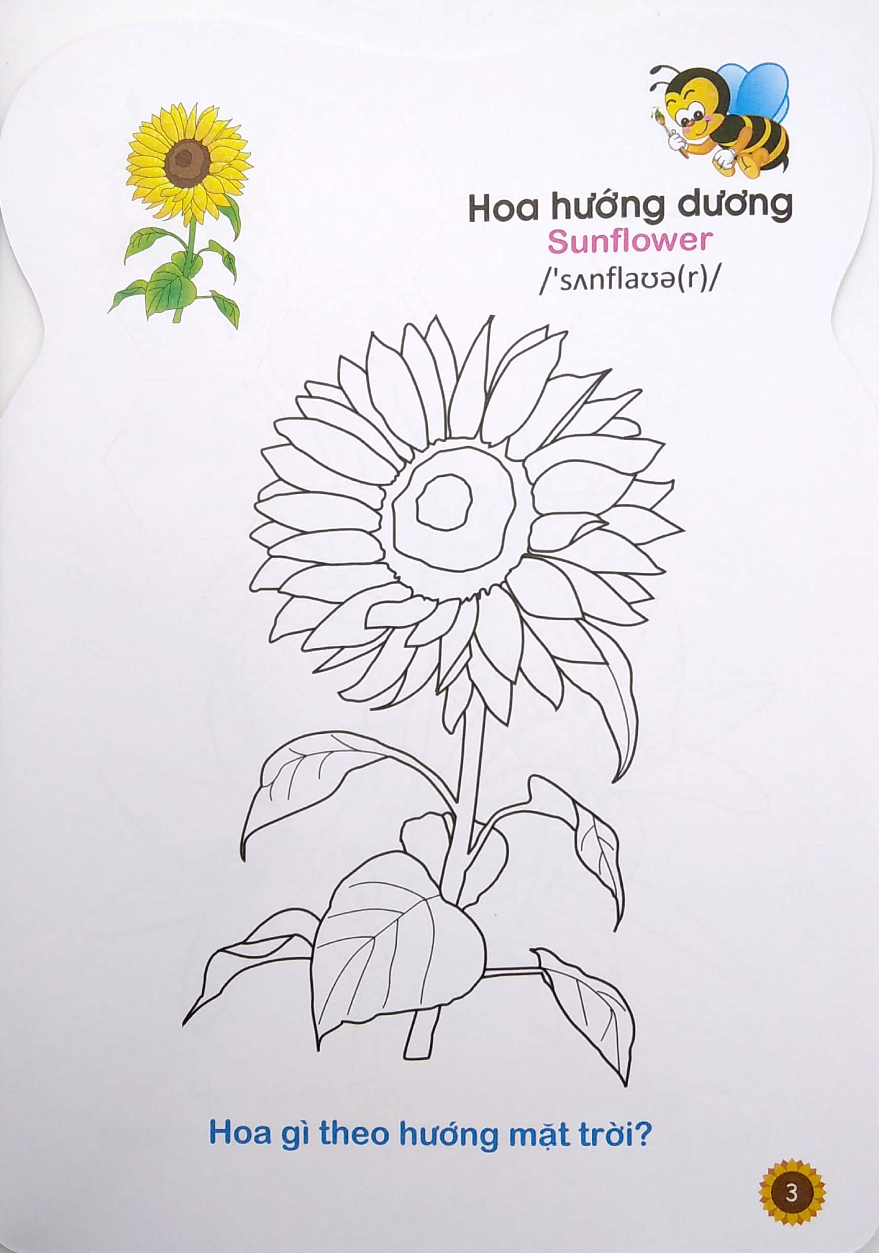 ong con chăm chỉ - tô màu các loài hoa, quả