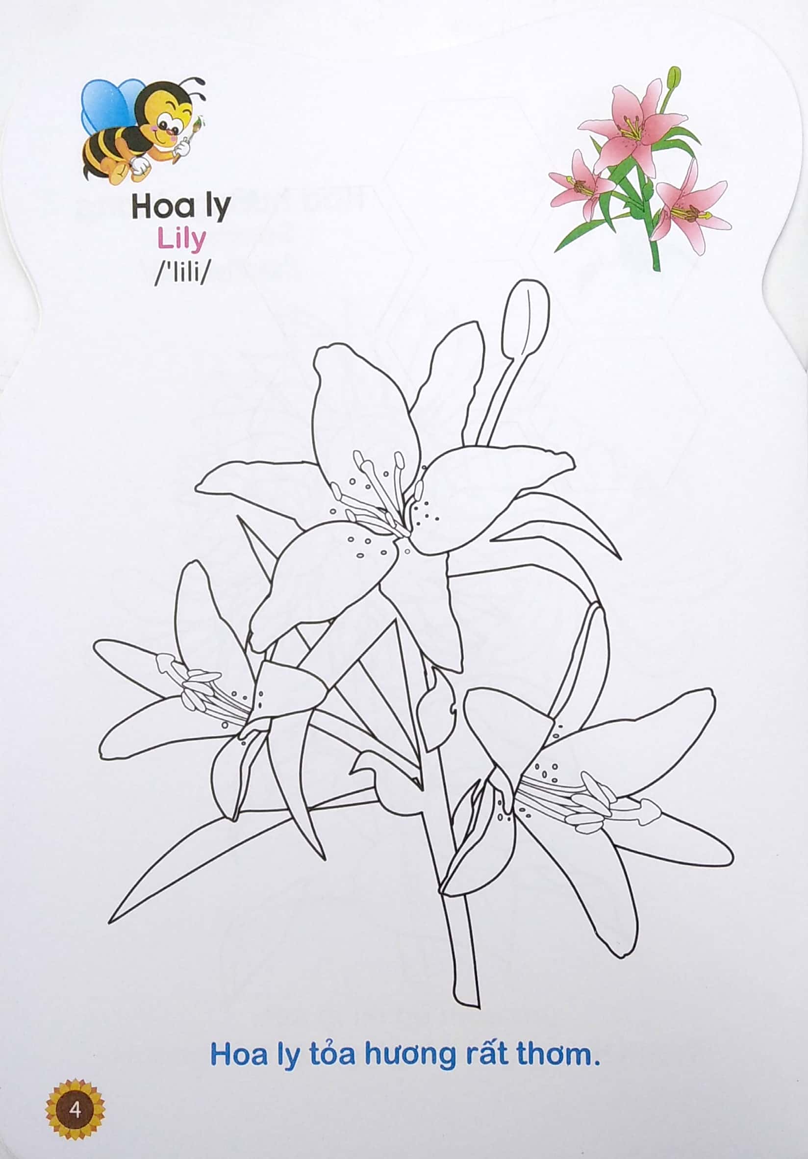 ong con chăm chỉ - tô màu các loài hoa, quả