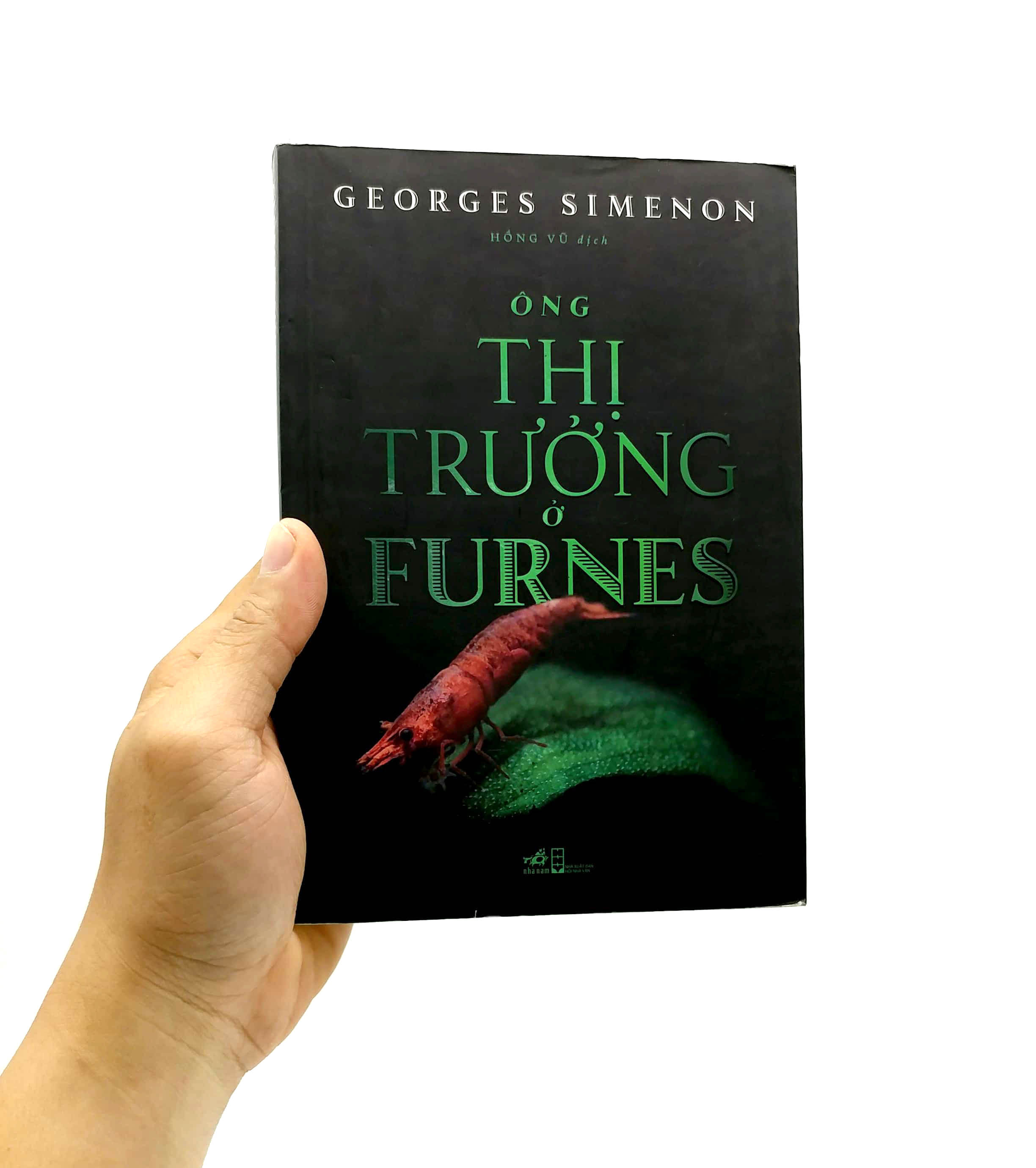 ông thị trưởng ở furnes