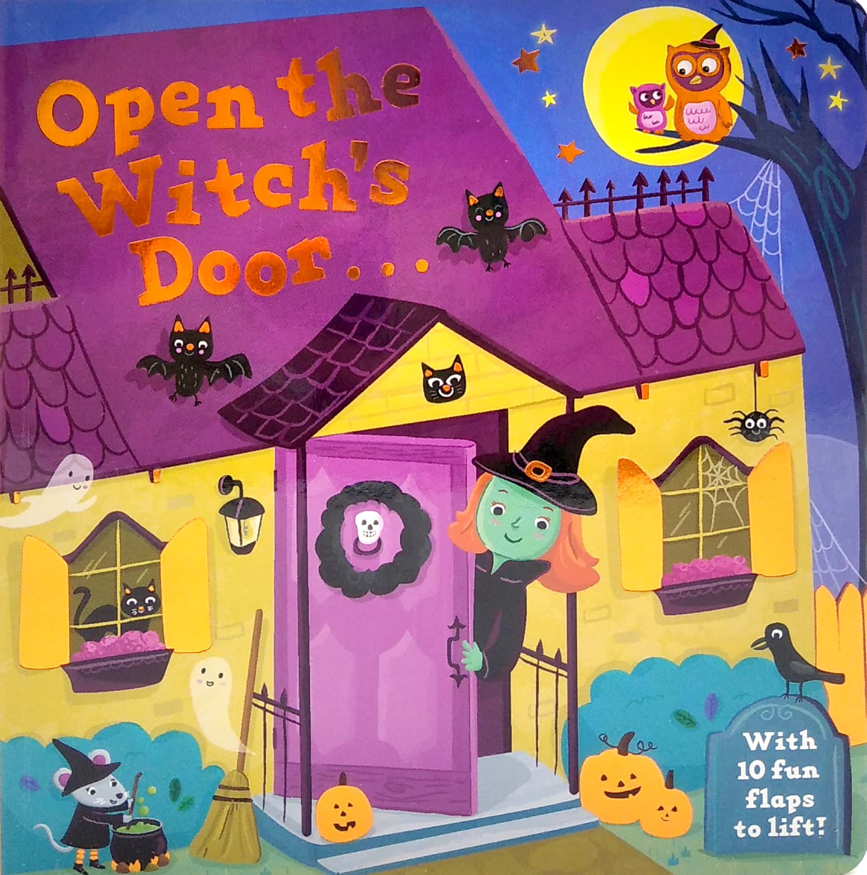 open the witch's door: a halloween lift-the-flap book