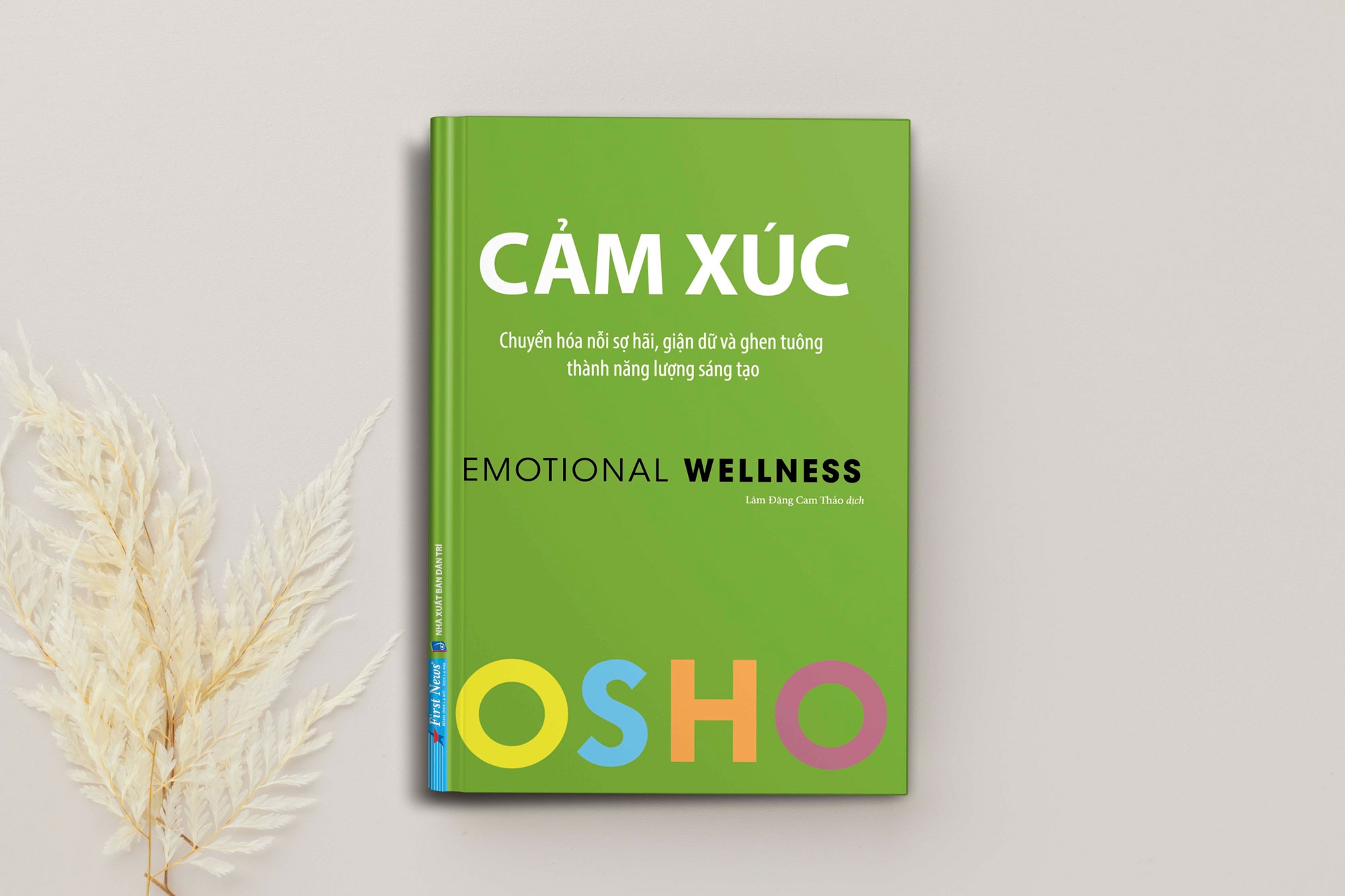 osho - cảm xúc - chuyển hóa nỗi sợ hãi, giận dữ và ghen tuông thành năng lượng sáng tạo