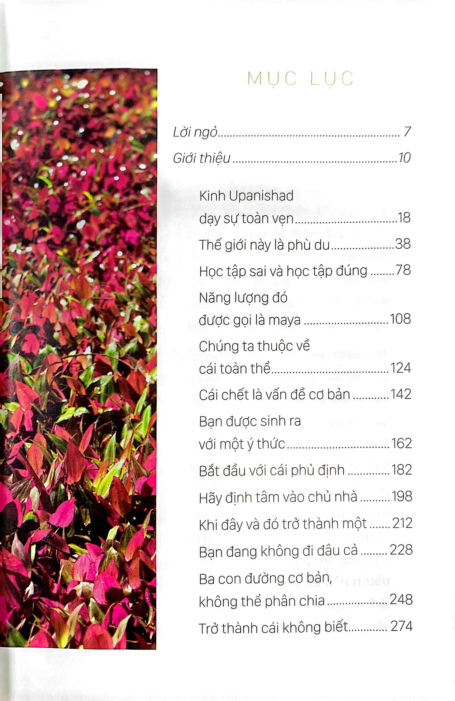 osho - upanishad - cốt tủy của giáo huấn (tái bản 2022)