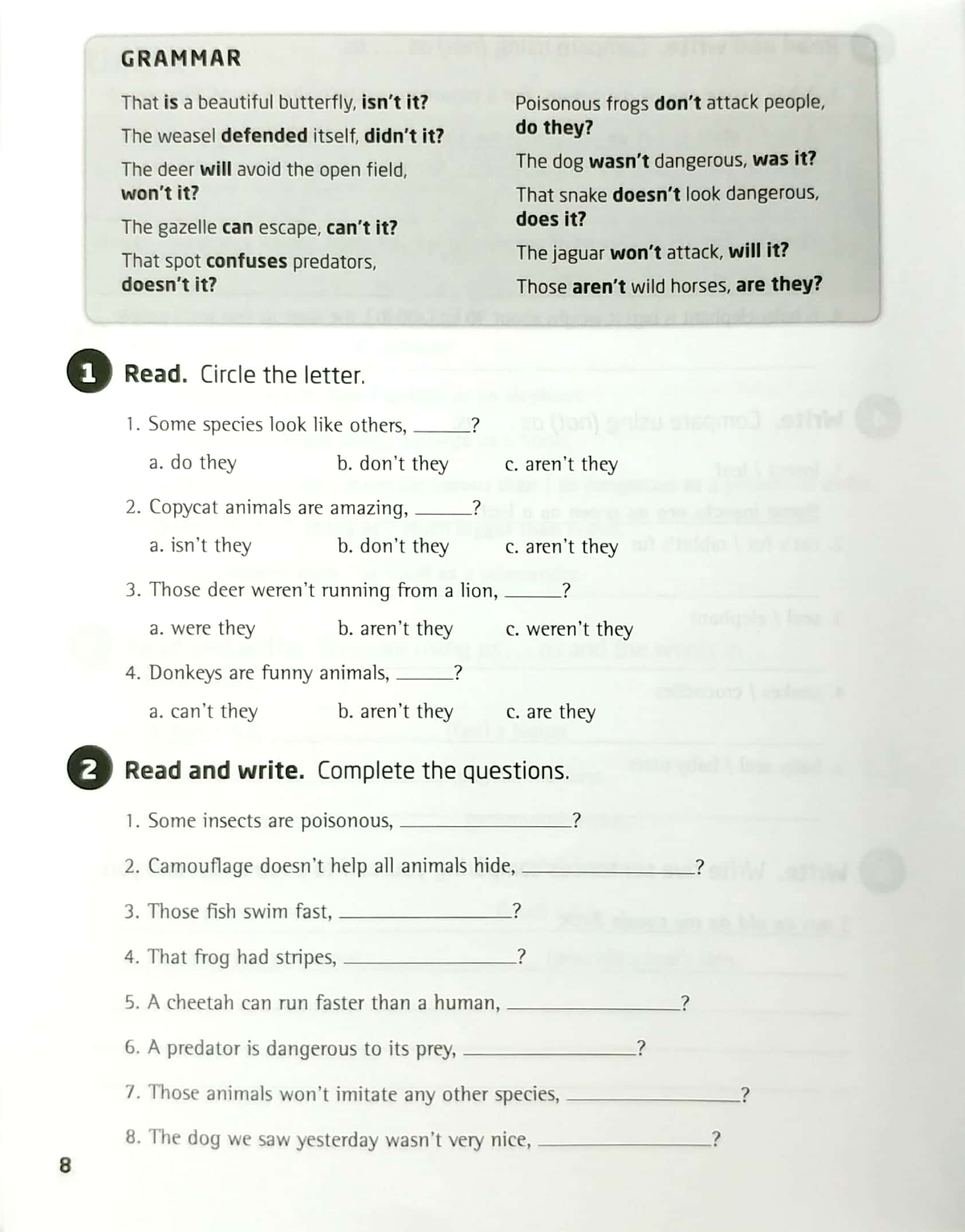 our world ame 5 grammar workbook